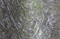 Bulwell fibreglass roof work